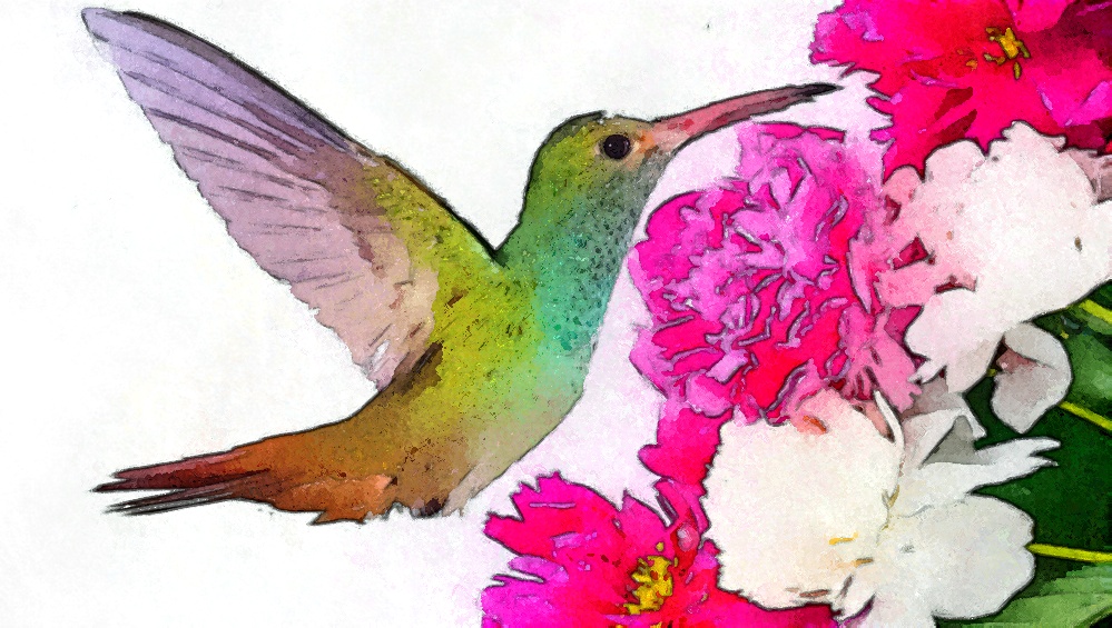 Lire la suite à propos de l’article Messe des ‘colibris’