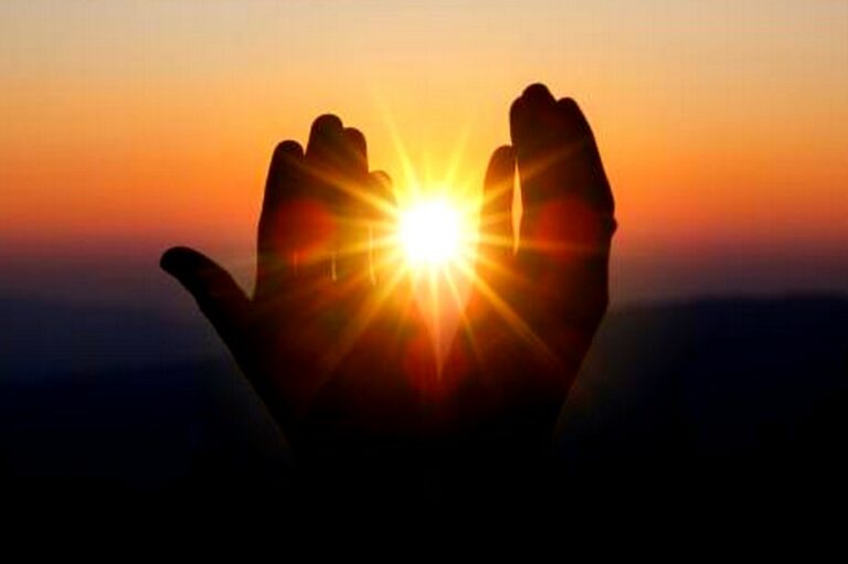vie entre les mains
